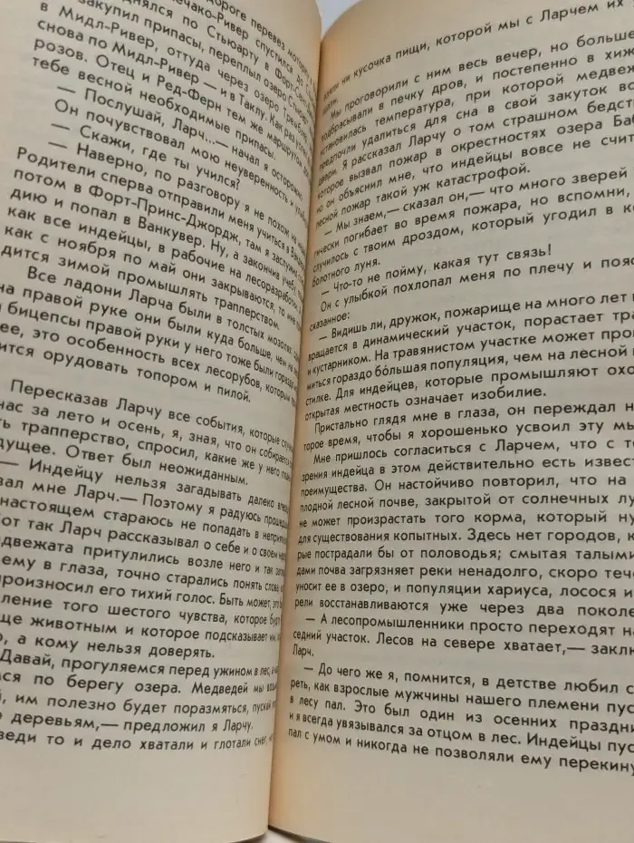 Медведи и я