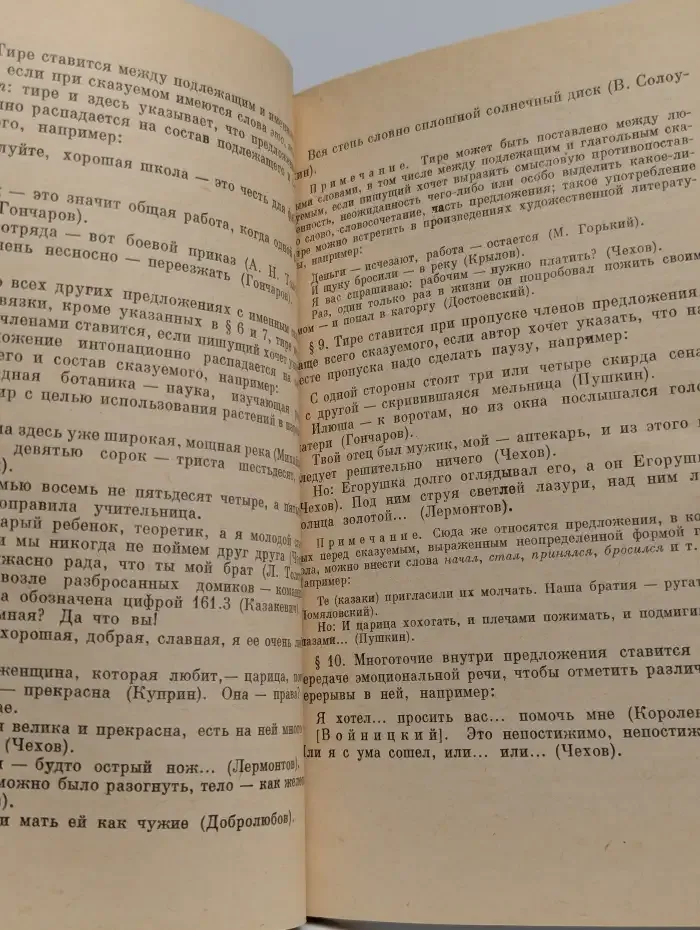Проблемы современного русского правописания