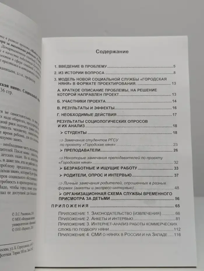 Городская няня. Социальный проект