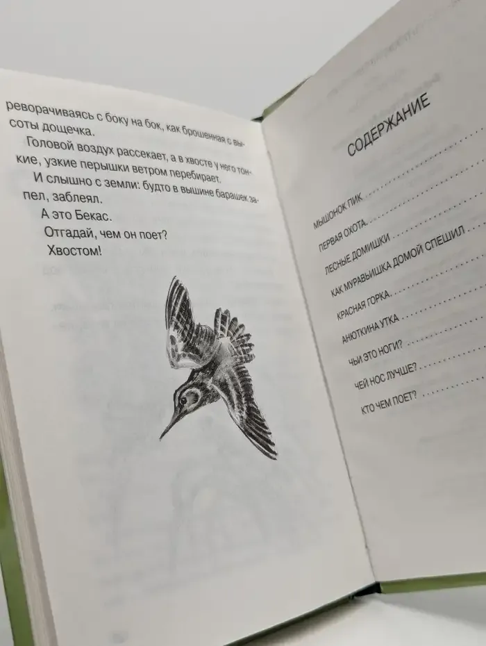 Лесные домишки