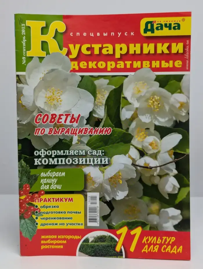 Моя любимая дача. №9, сентябрь 2013. Кустарники декоративные