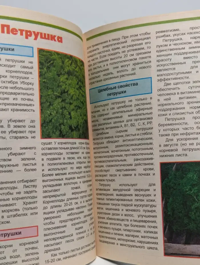 Журнал Ваш огород. №18, август 2012