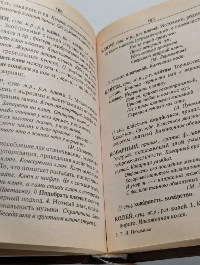 Толковый словарь русского языка для школьников