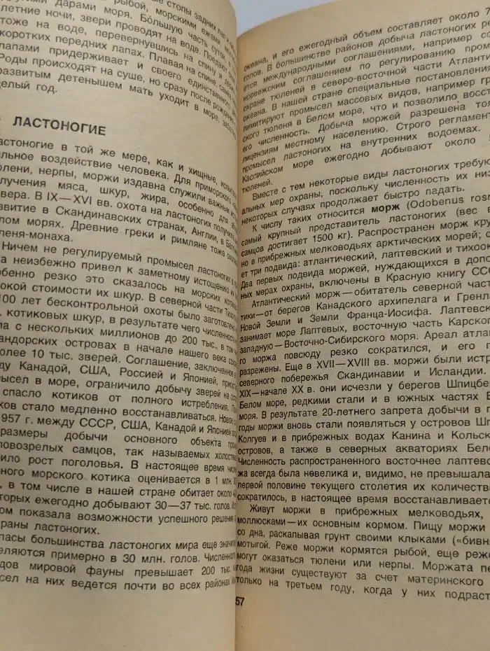 Мы должны их спасти