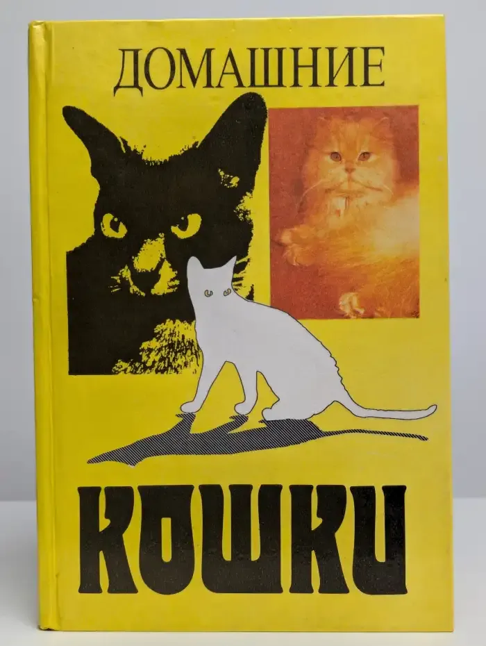Домашние кошки