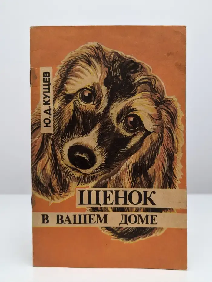 Щенок в вашем доме