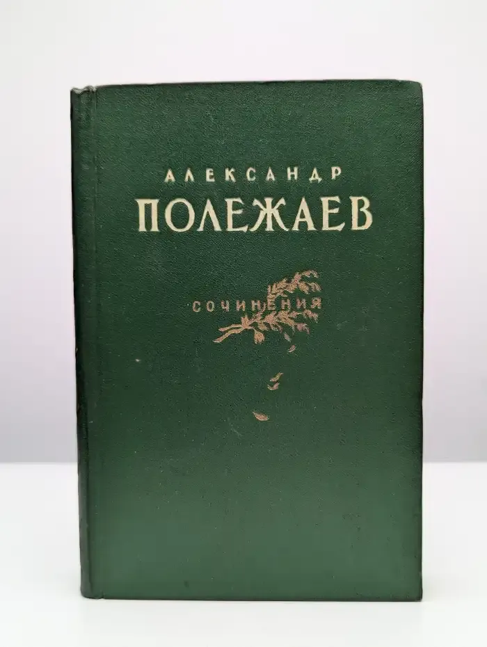 Александр Полежаев. Сочинения