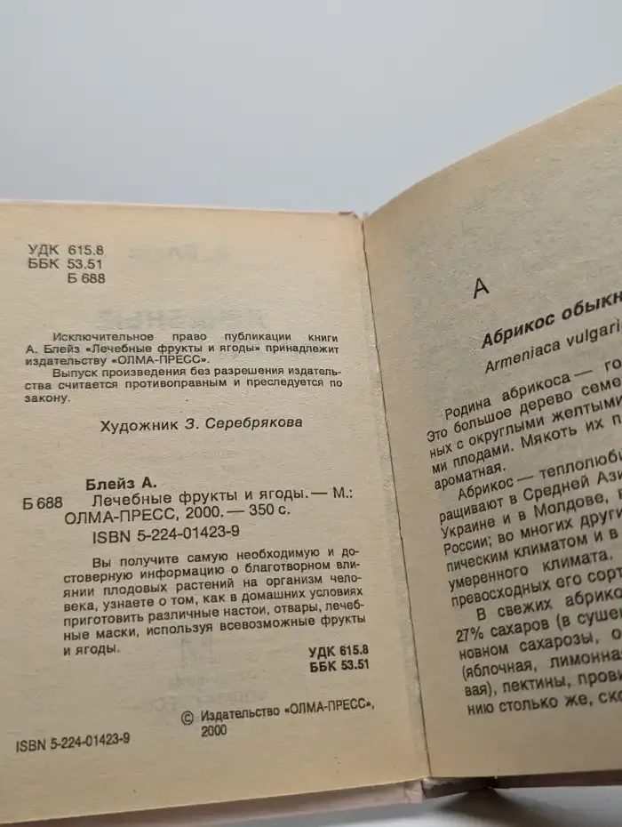 Лечебные фрукты и ягоды