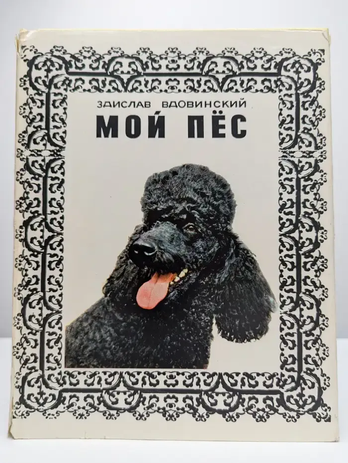 Мой пес
