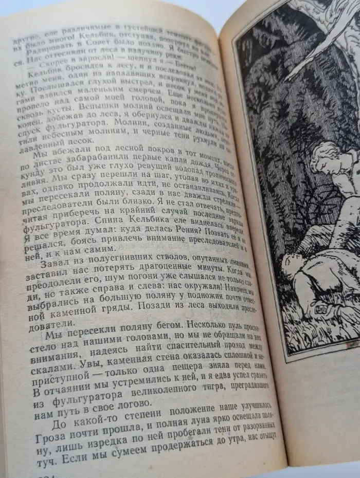 Львы Эльдорадо