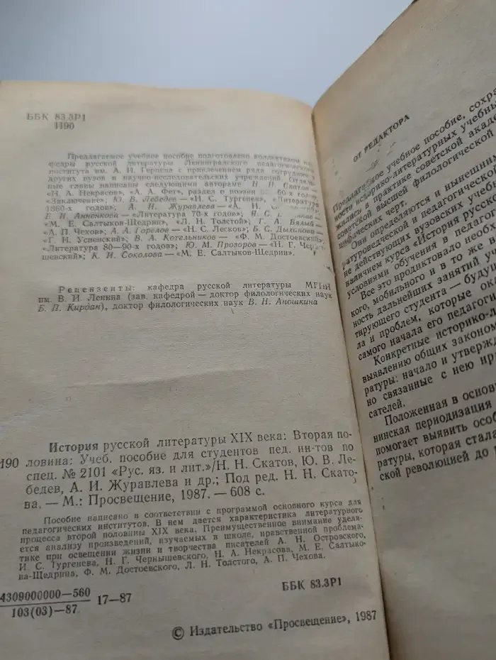 История русской литературы XIX века. Вторая половина