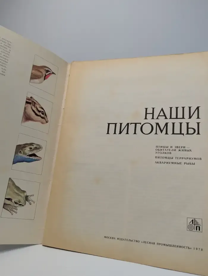 Наши питомцы