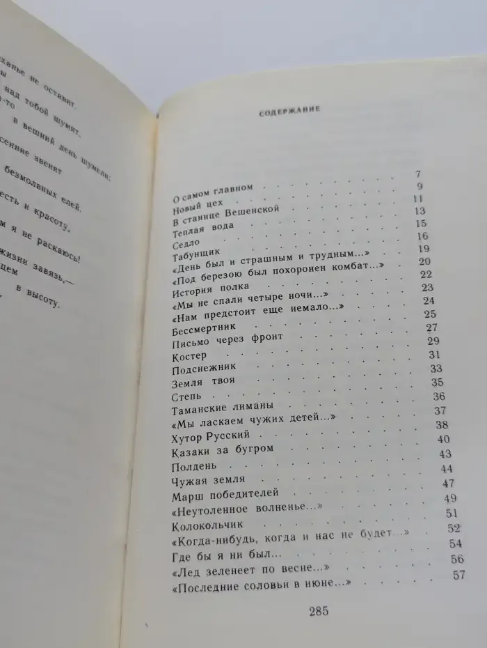 Дружина