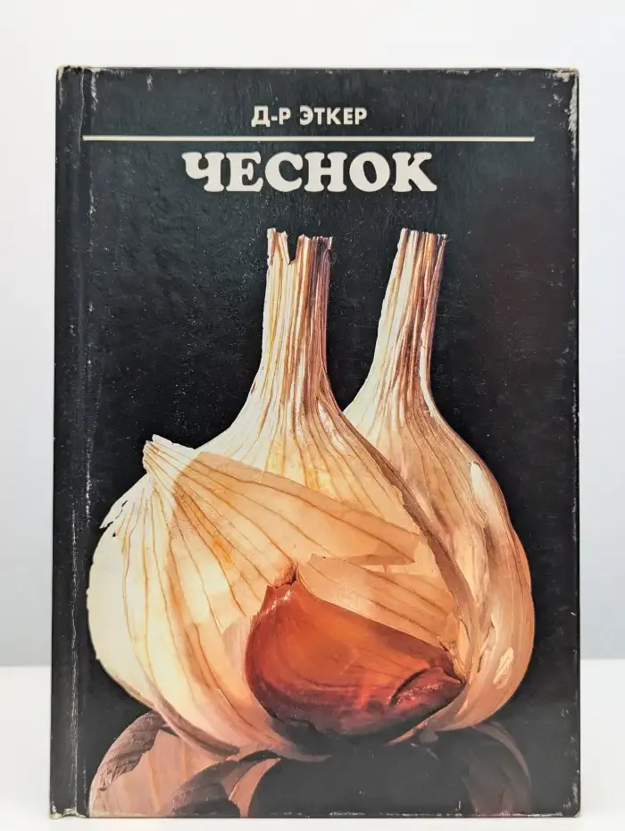 Чеснок
