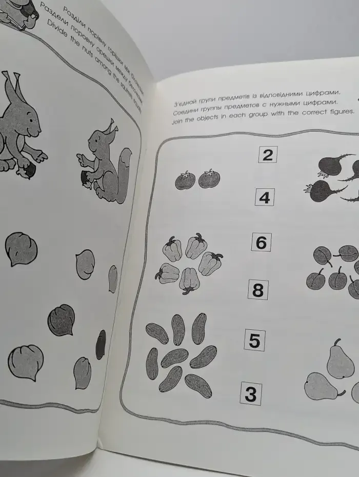 Activities 5-6. Book 1