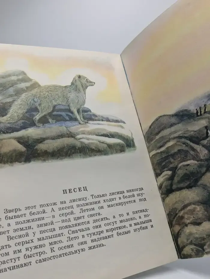Далеко на Севере