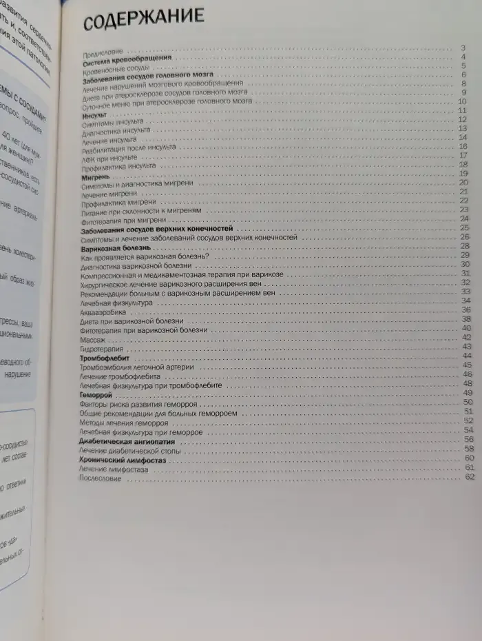 Здоровые сосуды. Сердечно-сосудистая система