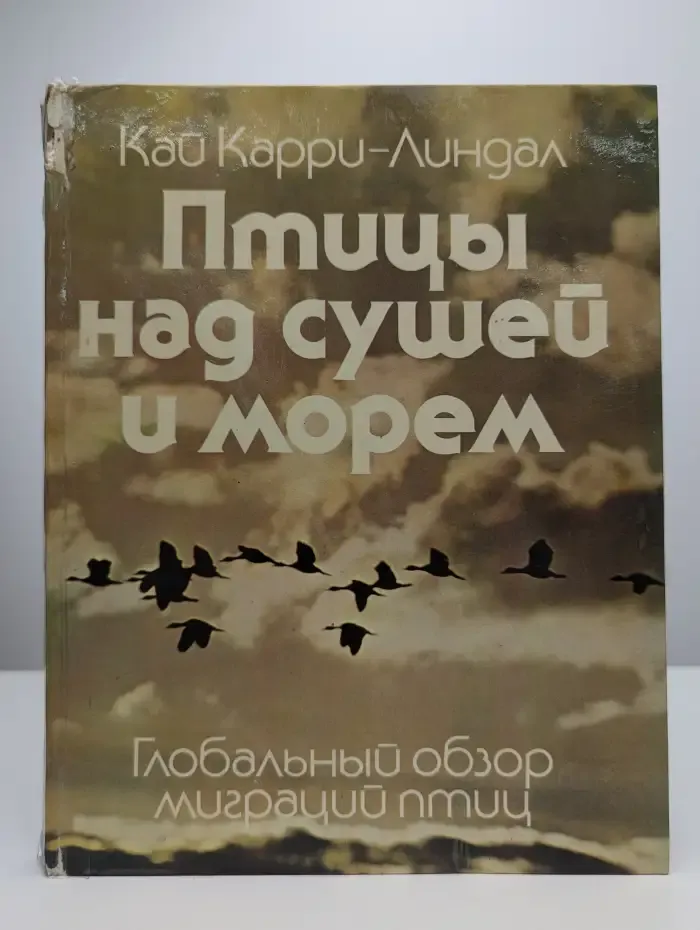 Птицы над сушей и морем