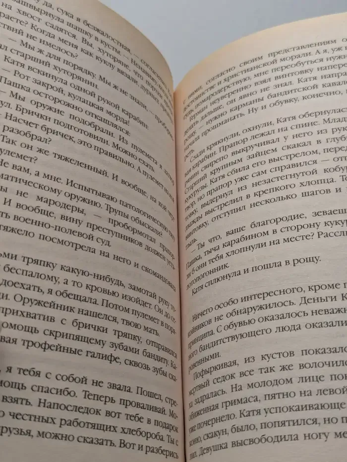 Товарищ "Маузер". Братья по оружию из будущего