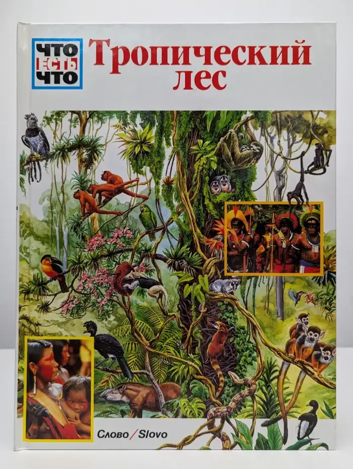 Тропический лес