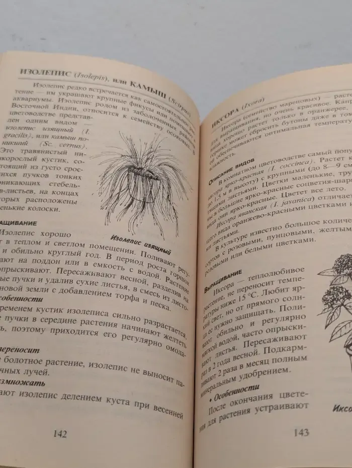 Мир комнатных цветов