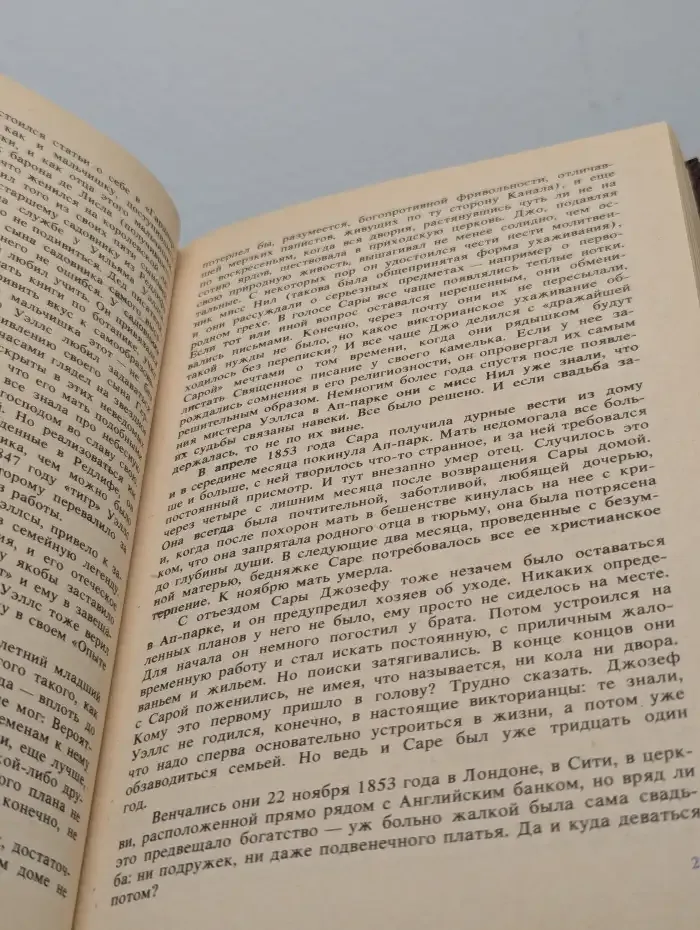 Вглядываясь в грядущее