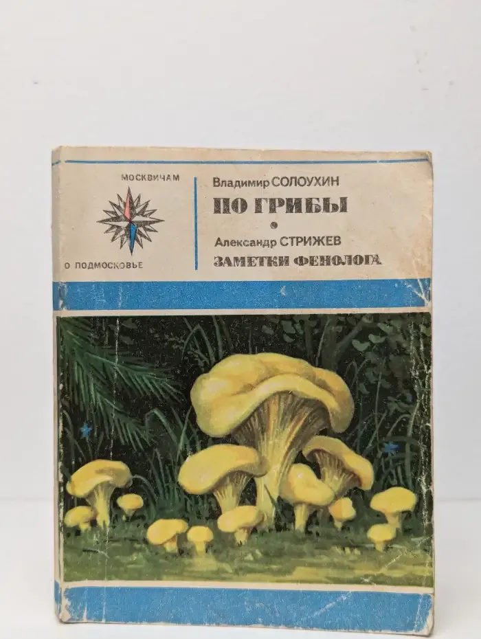 По грибы. Заметки фенолога