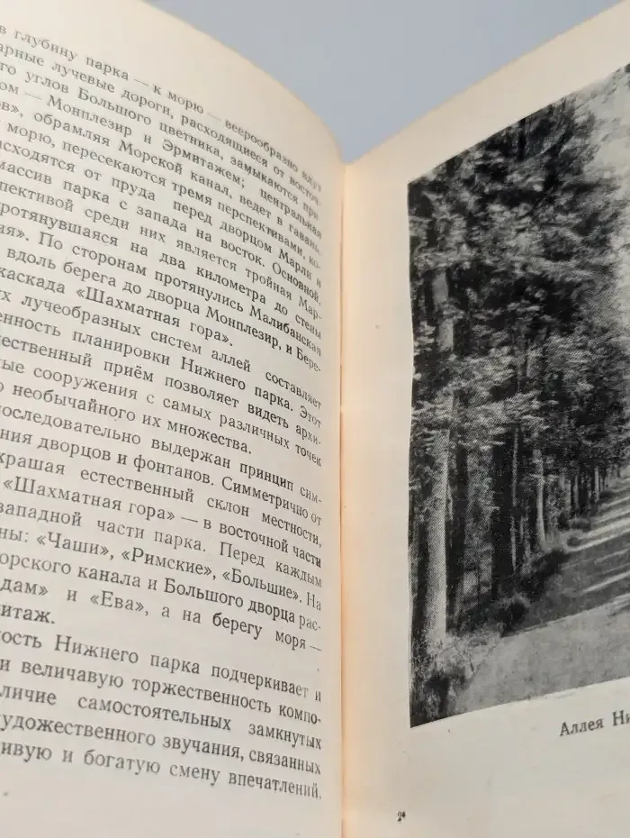 Петродворец