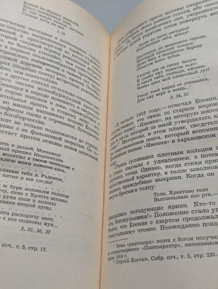 Сергей Есенин. Образ, стихи, эпоха