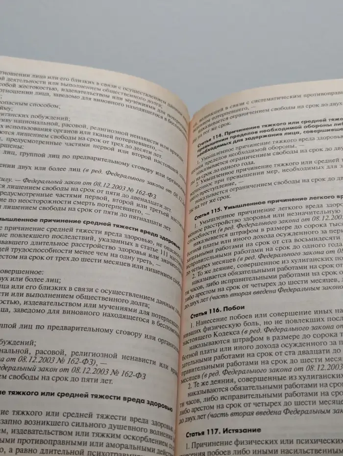 Уголовный кодекс РФ по состоянию на 20 апреля 2007 года