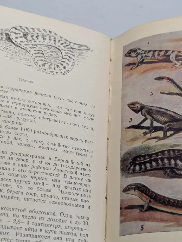 Советы натуралисту-любителю