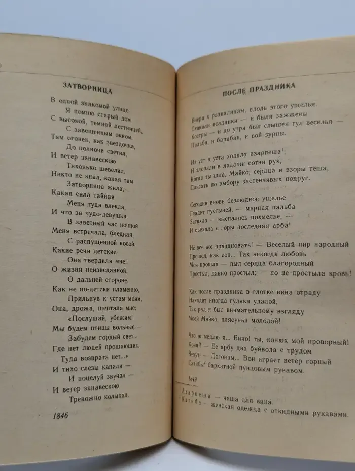 Русская лирика XIX века