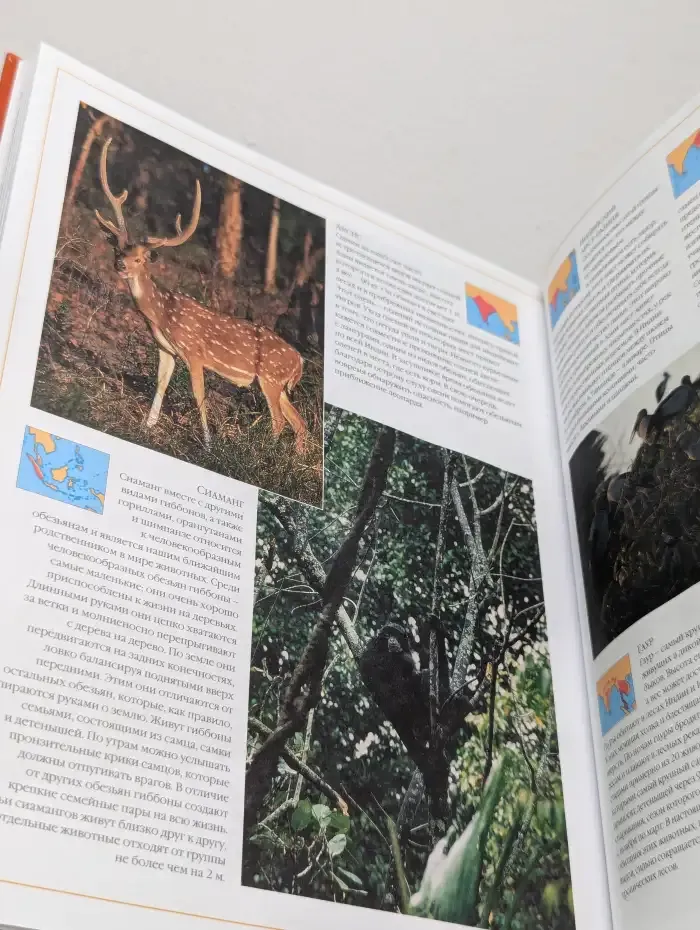 Большая иллюстрированная энциклопедия животных