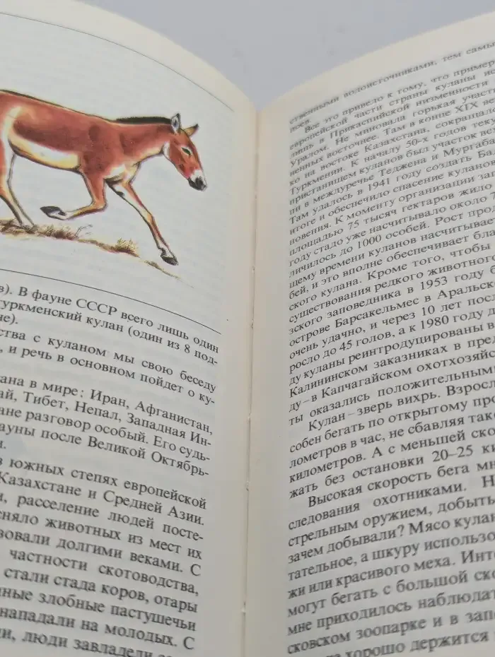 Редкие и исчезающие животные. По страницам красной книги