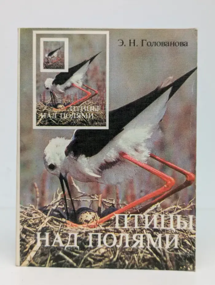 Птицы над полями