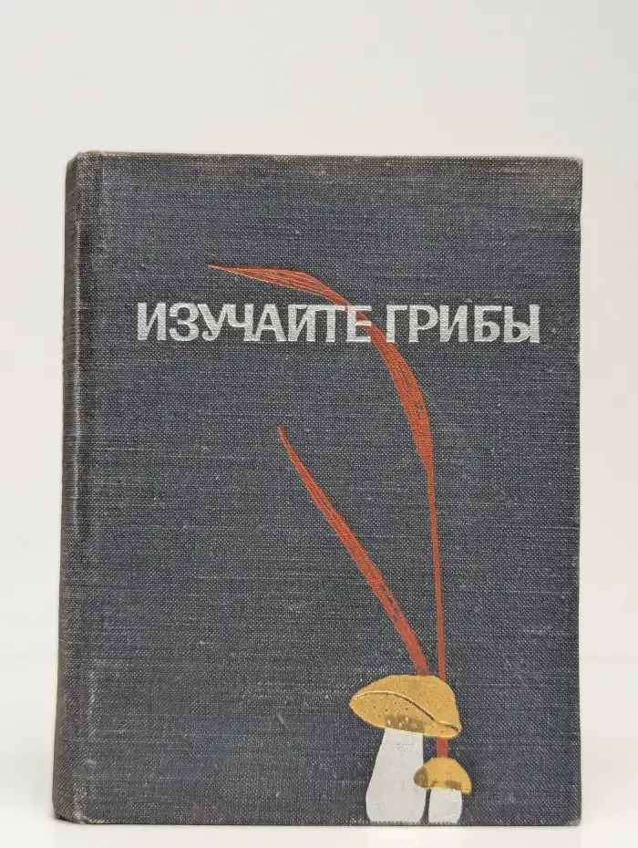 Изучайте грибы