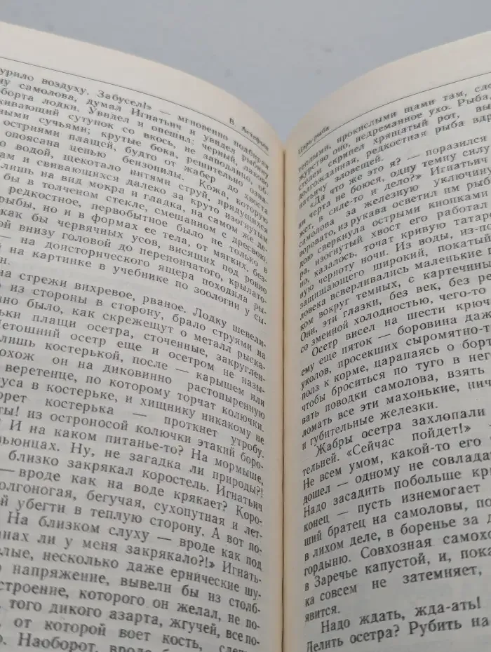 Постижение родства