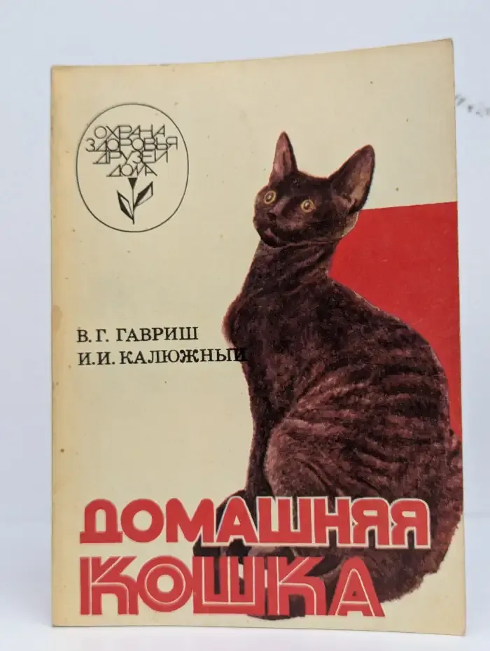 Домашняя кошка