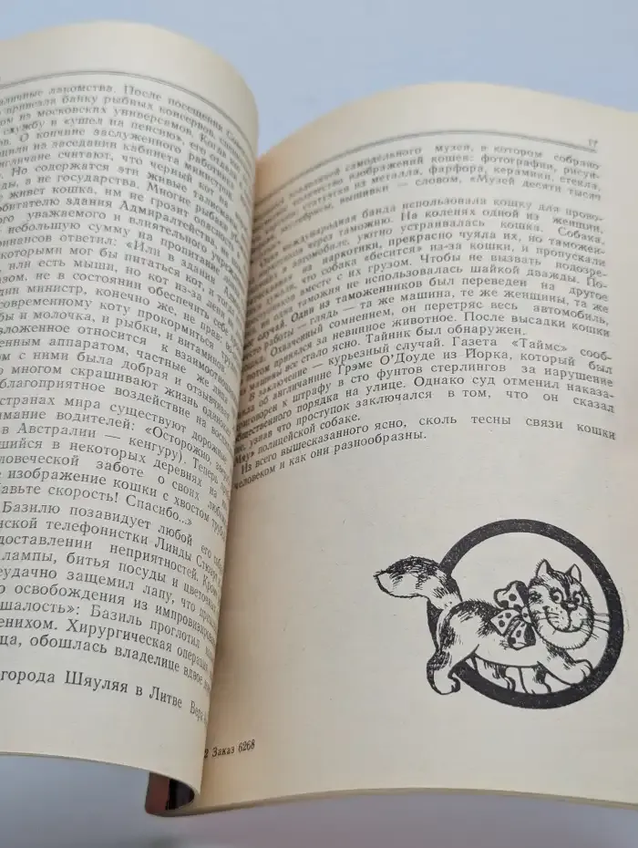 Кошки