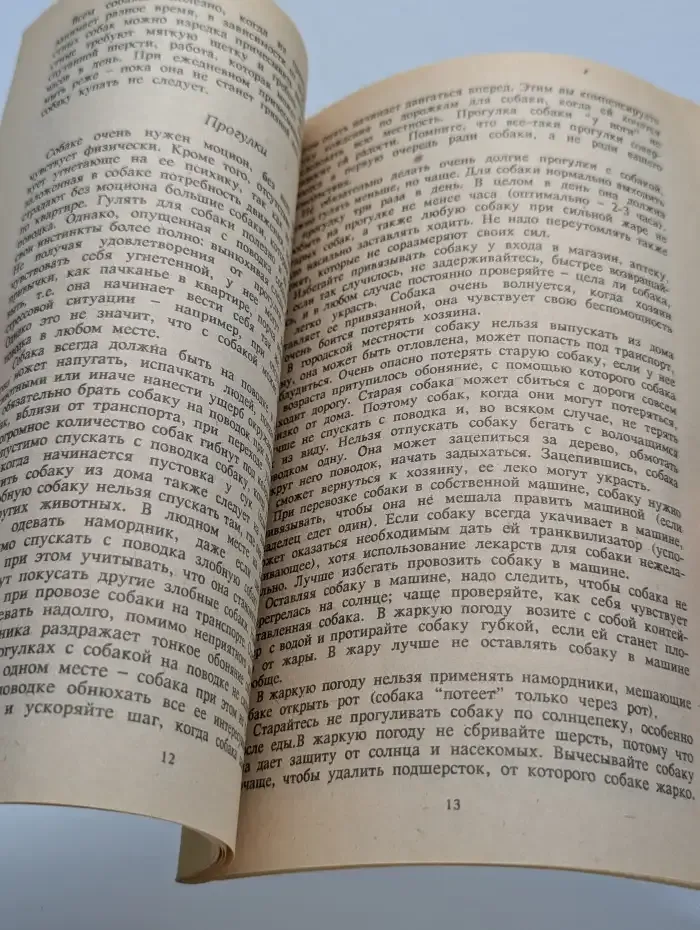 Животные в доме. Кошка и собака в вашем доме