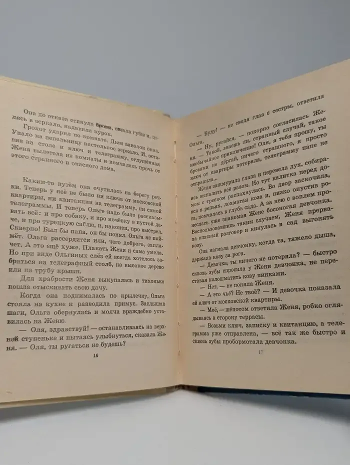 Тимур и его команда
