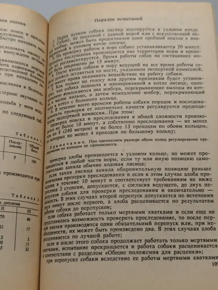 Твой верный друг и помощник