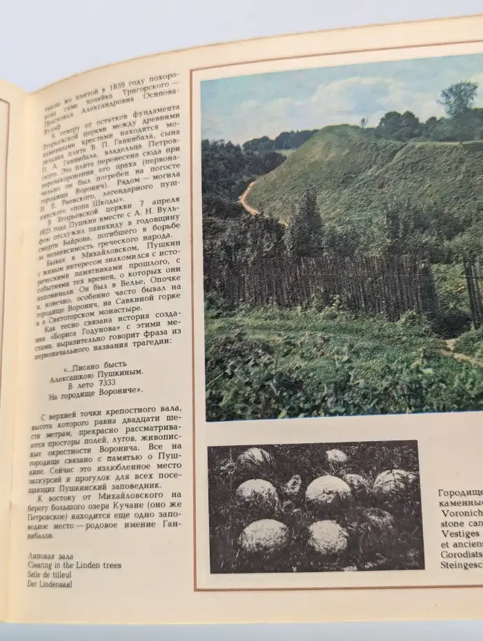 Государственный музей-заповедник А. С. Пушкина