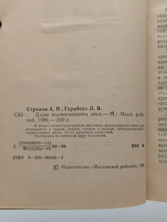 Дары подмосковного леса