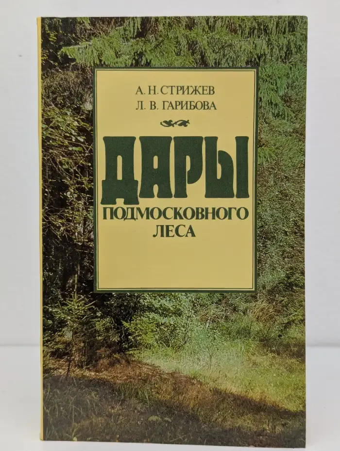 Дары подмосковного леса