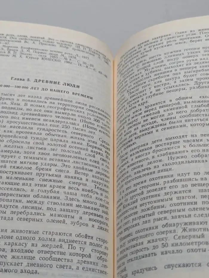 Человек разумный