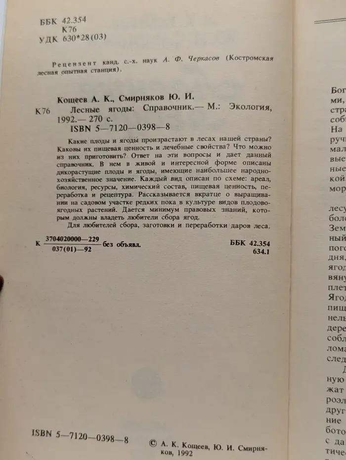 Лесные ягоды