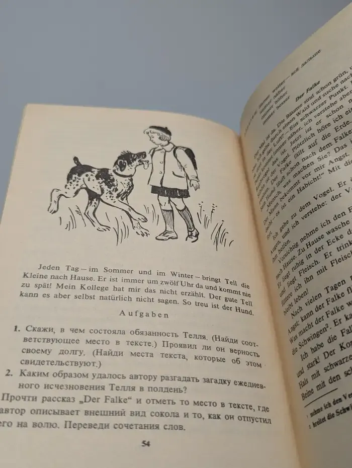 Tiere und ich. Мои друзья животные