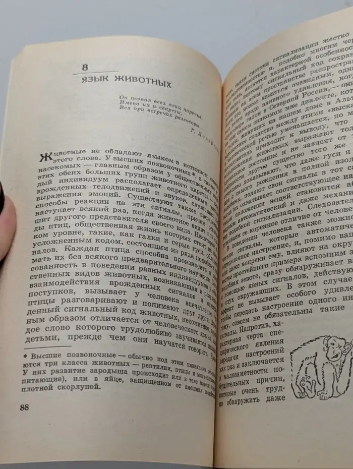 Кольцо царя Соломона