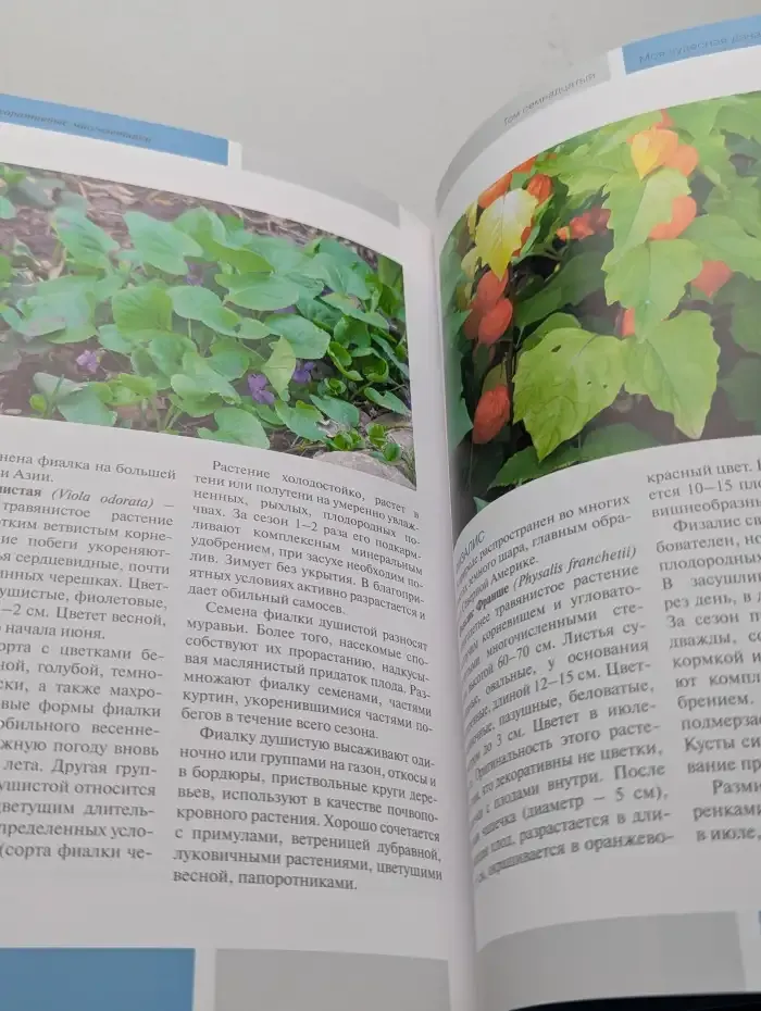 Декоративные многолетники. Моя чудесная дача. Том 17